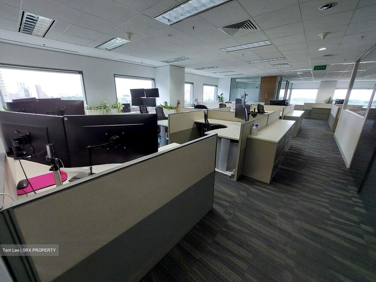 Suntec City Mall (D1), Office #516199241